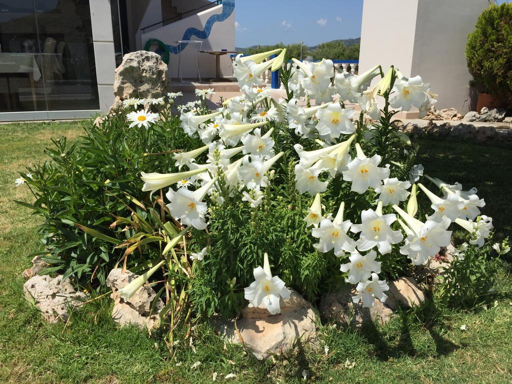 Davinci'S Studios Χαράκι Εξωτερικό φωτογραφία